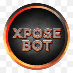 Xpose Commands - Discord Bot Alternativeme Carro Do Ano 2013 png