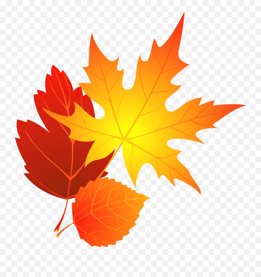 Free Fall Leaves Transparent Background - Transparent Background Fall Leaves Clipart Png,Fall Leaf Transparent