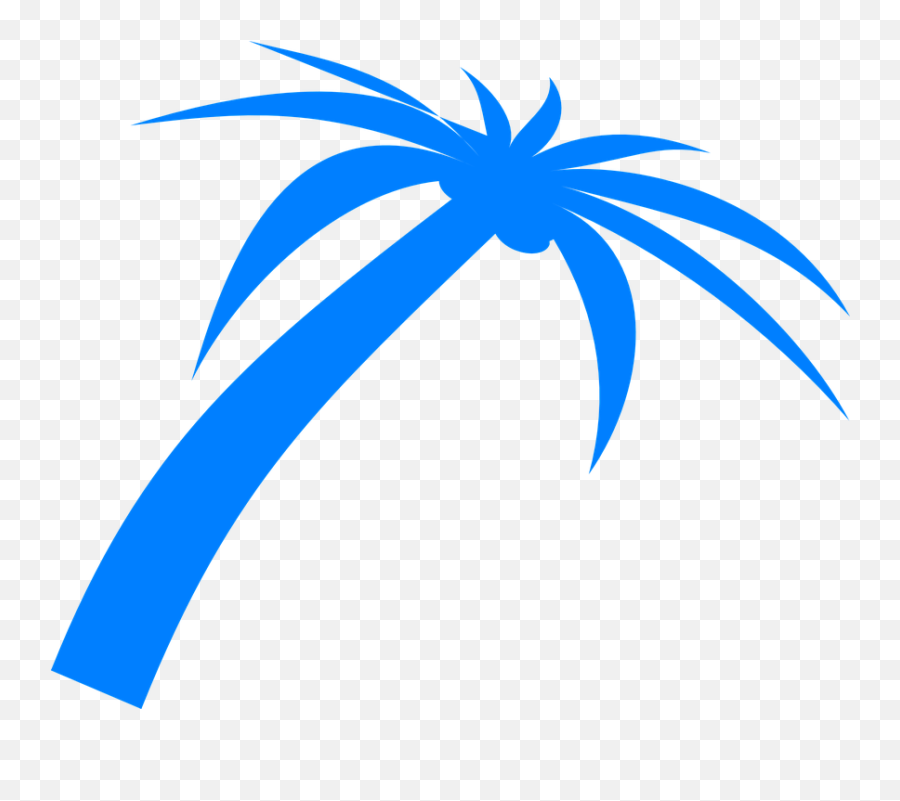 Palm Tree Fronds - Free Vector Graphic On Pixabay Palm Leaves Vectors Pngs,Palm Png