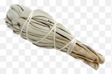 Smudge - Torch Style Mini California White Sage 4 Transparent Background png