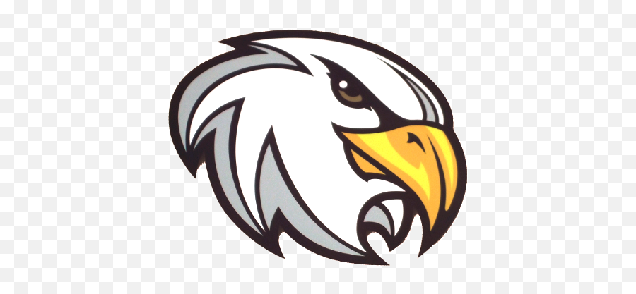 Eagle Head Mascot South Fork Elementary - Clip Art Png,Eagle Head Logo
