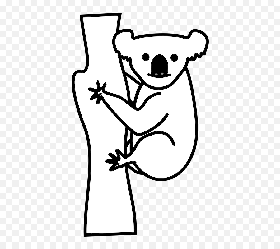 Koala Bear Animal - Free Vector Graphic On Pixabay Koala Black And White Clipart Png,Koala Transparent