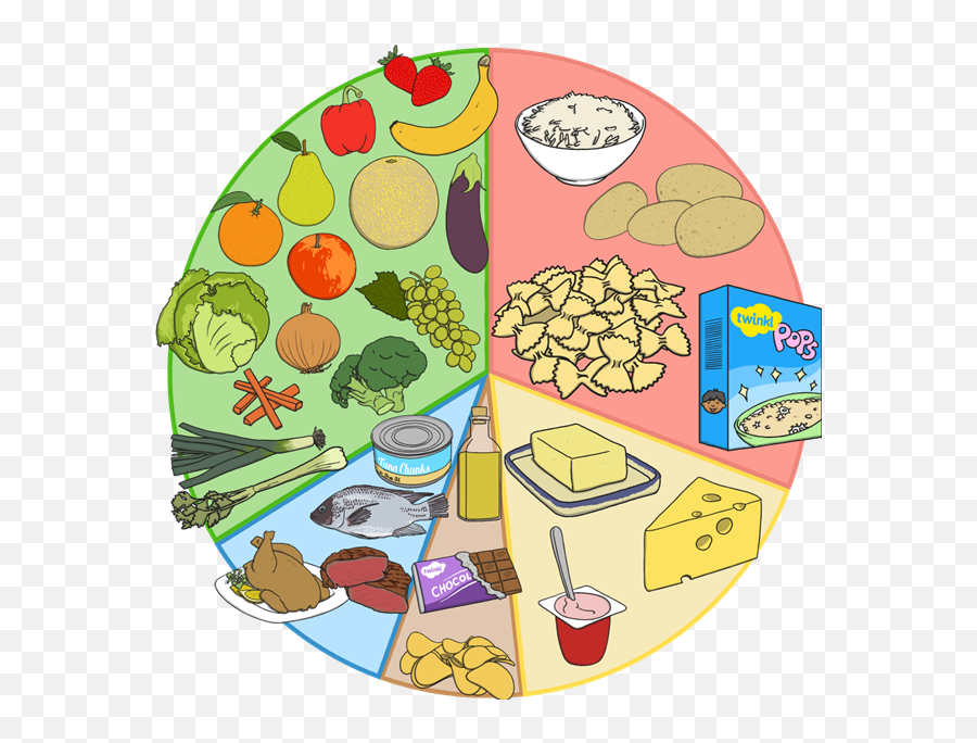 Balanced Diet Eating And Drinking - Balanced Diet Clipart Png,Diet Png