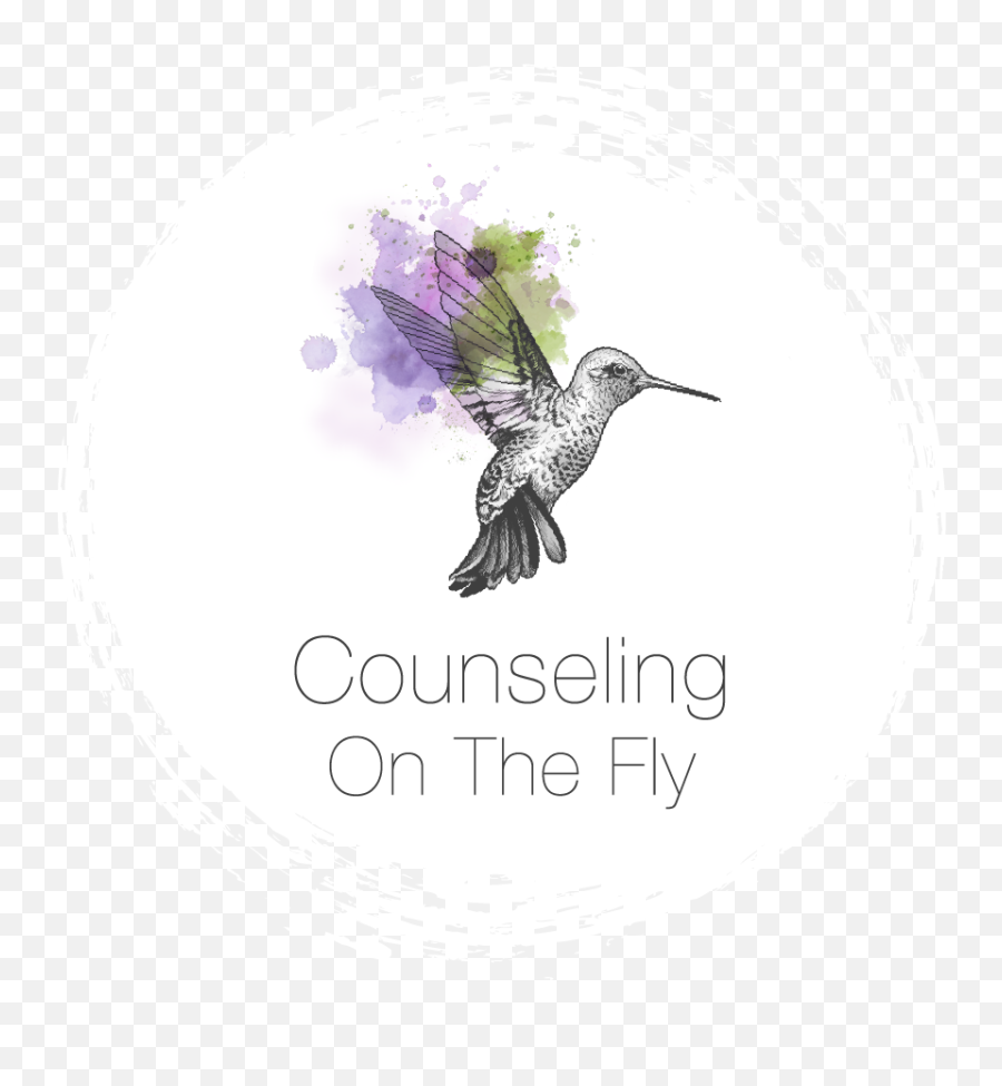Womenu0027s Counseling - Springfield Mo Counseling On The Fly Stock Illustration Png,Fly Transparent