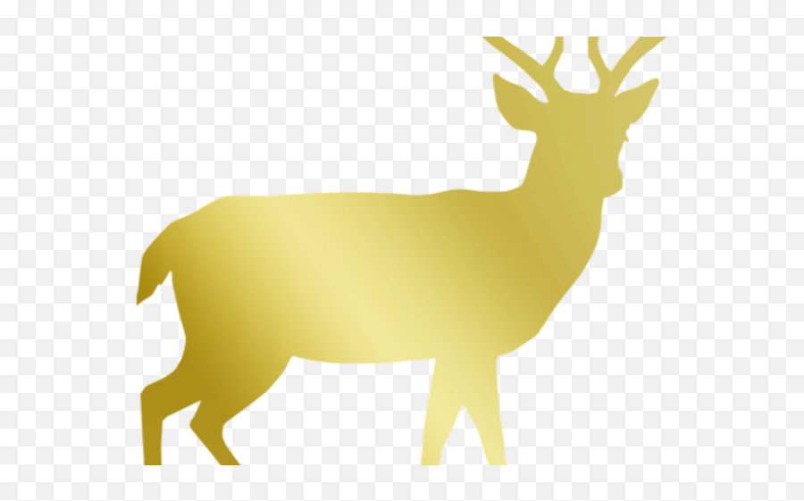 Reindeer Antlers Clipart - Male Deer Silhouette Png White Tailed Deer Silhouette,Reindeer Antlers Transparent Background