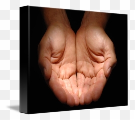Cupped Hands - Hands Cupped Together Png,Cupped Hands Png