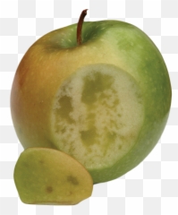 Physiological Disorders Tree Fruit Postharvest Export - Diet Food Png,Apple Slice Png