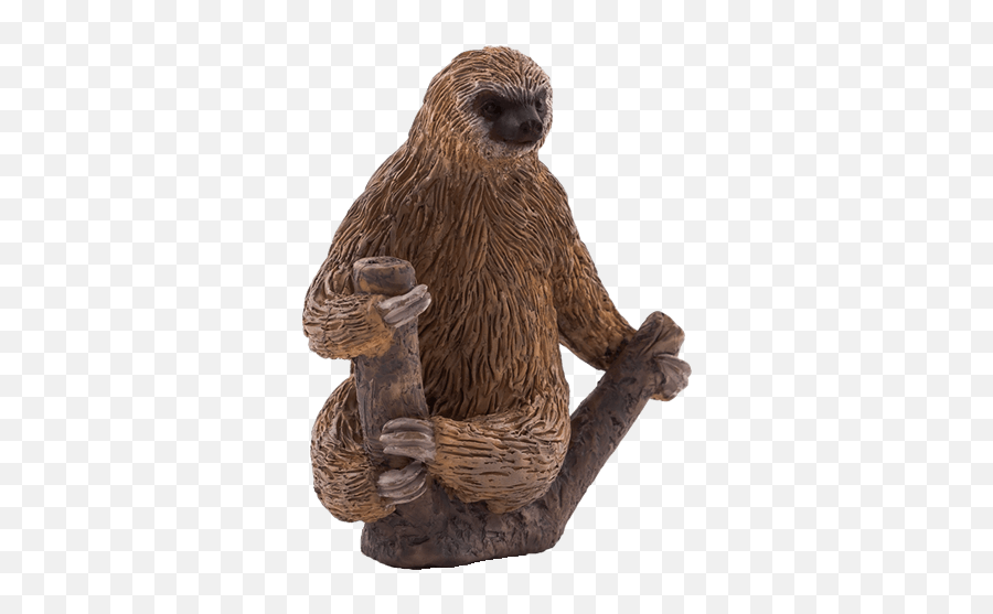 Download Did - Animal Planet Two Toed Sloth Png Image With Mojo Two Toed Sloth,Animal Planet Logo Png