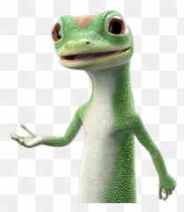 Download Hd Geico Lizard No Background Transparent Png Image - Gecko Png