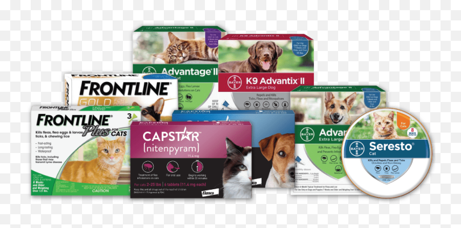 Flea Tick Meds For Dogs And Cats - Dog Supply Png,Platinum Cats Vs Dogs Icon