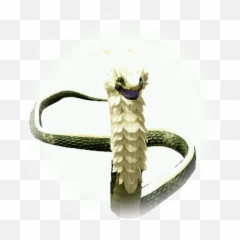 Loah Snake - BDO Codex Black Desert png