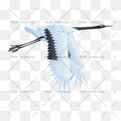 Crane Stork Bird Png Image With Transparent Background - Birds,Marlin Png