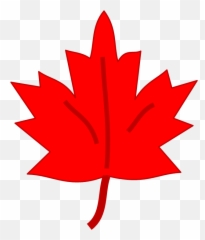 Fall Activities - Harvest Maple Syrup png