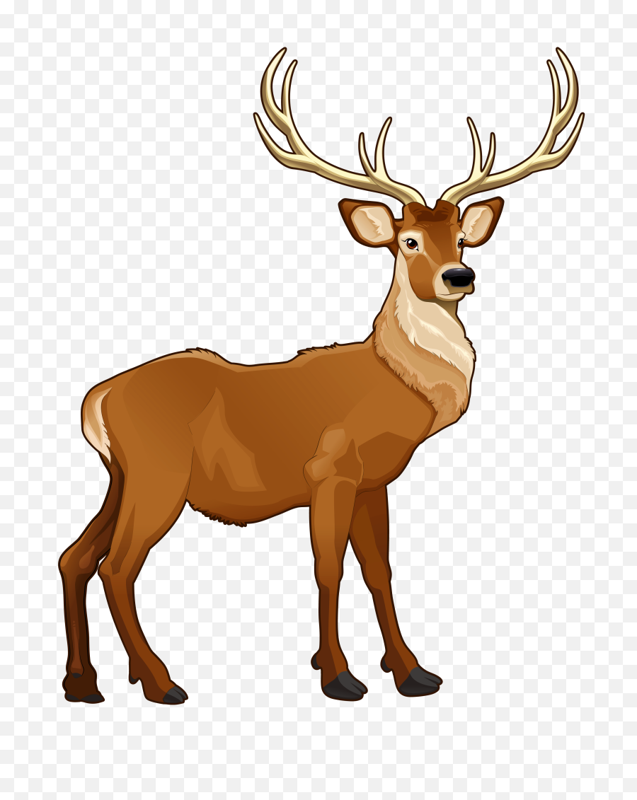 Brown Png Picture Animals Clip Art - Clipart Of Reindeer,Reindeer Clipart Png