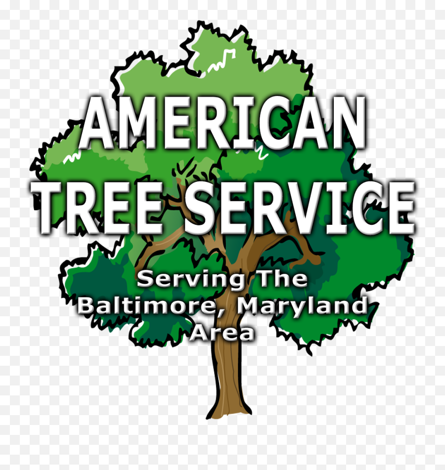 Tree Trimming And Removal In Baltimore City Md - Language Png,Beauty By Icon Baltimore