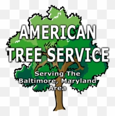 Tree Trimming And Removal In Baltimore City Md - Language Png,Beauty By Icon Baltimore