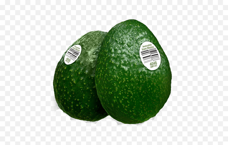 Download Hd Aguacates Chahena - Avocado Transparent Png Avocado,Avocado Transparent Background