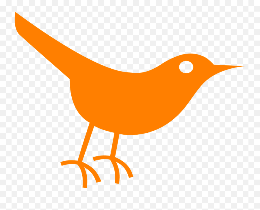 Bird Twitter Orange - Free Vector Graphic On Pixabay Cute Robin Bird Icon Png,Twitter Logo Vector