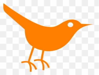 Bird Twitter Orange - Free vector graphic on Pixabay Cute Robin Icon png