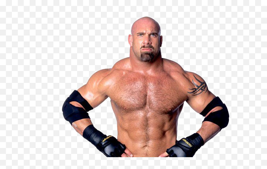 Bill Goldberg Png Hd Quality Mart - Goldberg Wwe Png,Chris Benoit Png