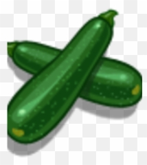 Zucchini - Zucchini Png,Zucchini Png