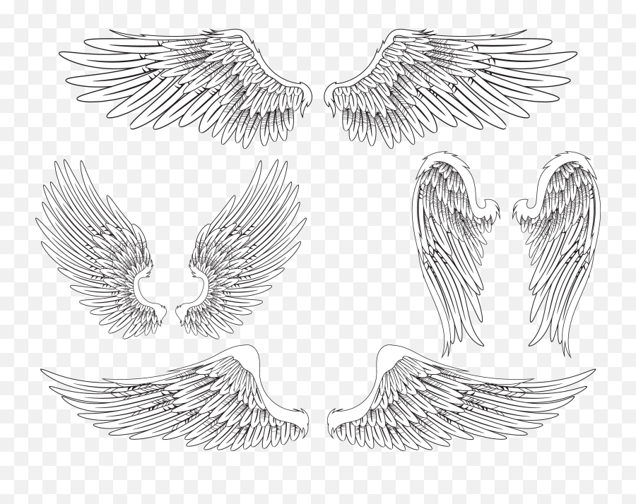 Angel Wing Bird Feather Png Image - Realistic Angel Wings Drawing,Realistic Angel Wings Png