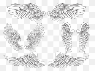 Realistic Devil Wings Png Collection - Picsart Background For Editing,Realistic  Angel Wings Png - free transparent png image 