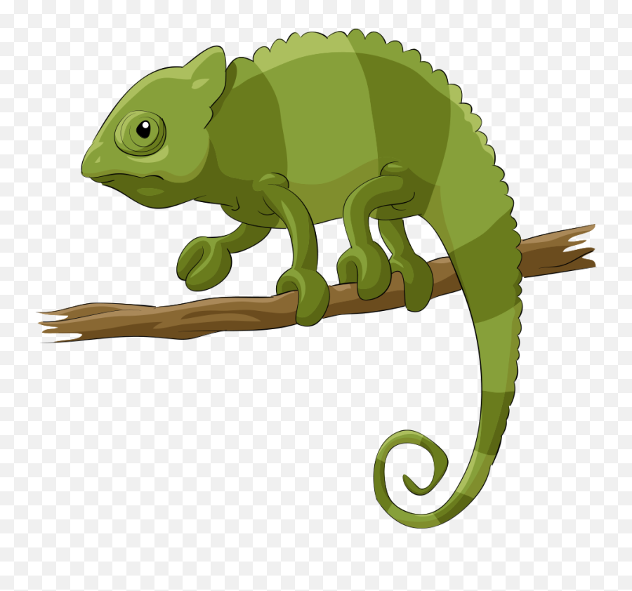 Chameleons Lizard Reptile Cartoon - Chameleon Vector Chameleon Clipart Png,Chameleon  Png - free transparent png images 