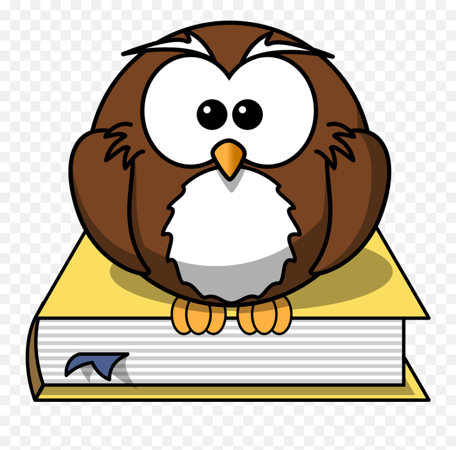 Owl Book Animal - Cartoon Owl On Book Png,Studying Png