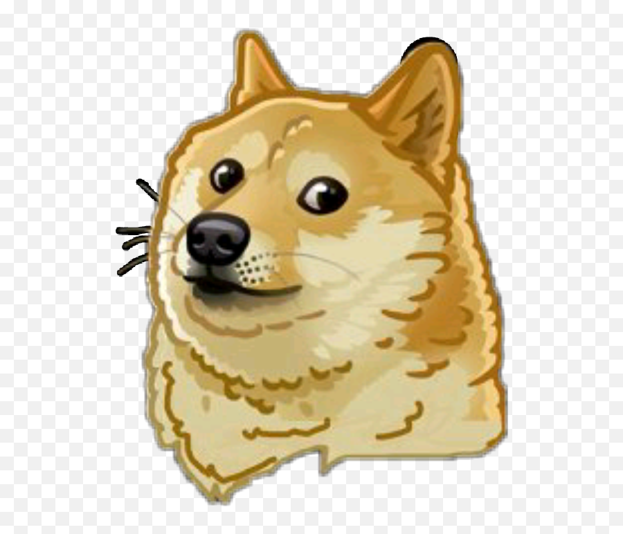 Doge Meme Dog Doggo Funny Sticker Momo - Doggo Png,Doggo Png