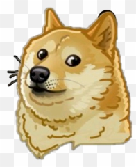 Doge Meme Dog Doggo Funny Sticker Momo - Doggo Png,Doggo Png