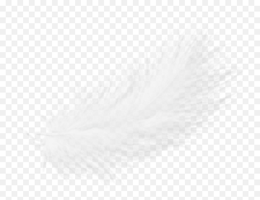 Feather Png Transparent - Portable Network Graphics,Black Feather Png