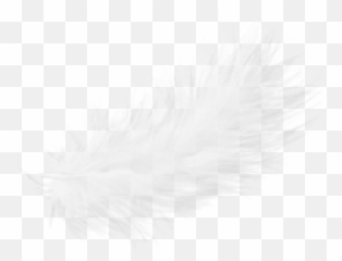 Feather Png Transparent - Portable Network Graphics,Black Feather Png