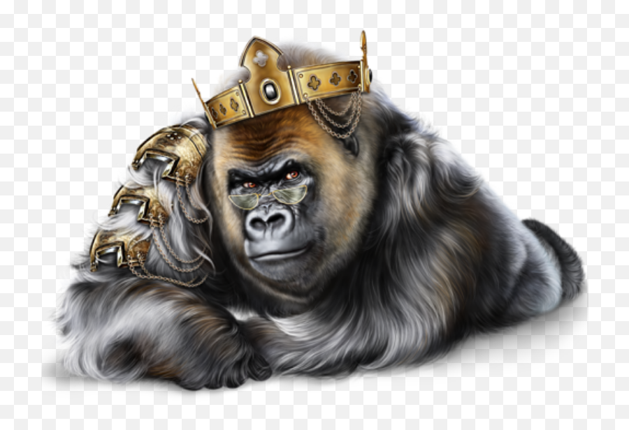 Gorilla - Ape With A Crown Png,Gorilla Png