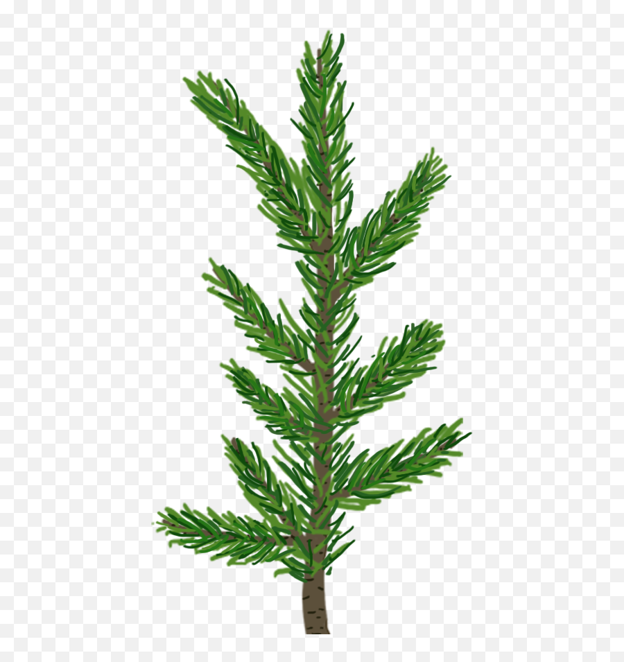 Creating A Pine Tree In Unity - Pine Tree Pine Leaves Png,Pine Tree Branch Png