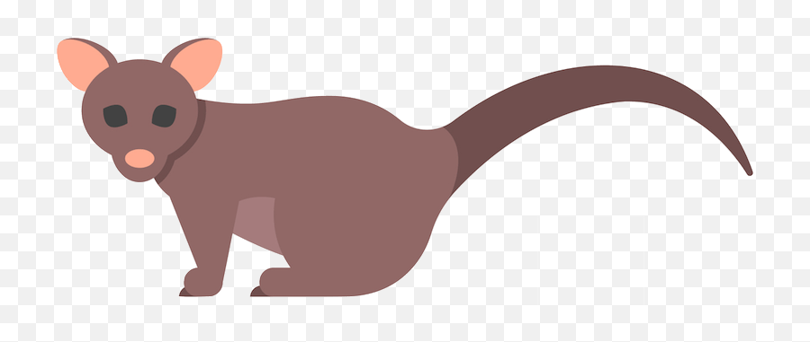 Brushtail - Australian Possum Possum Clipart Png,Possum Transparent