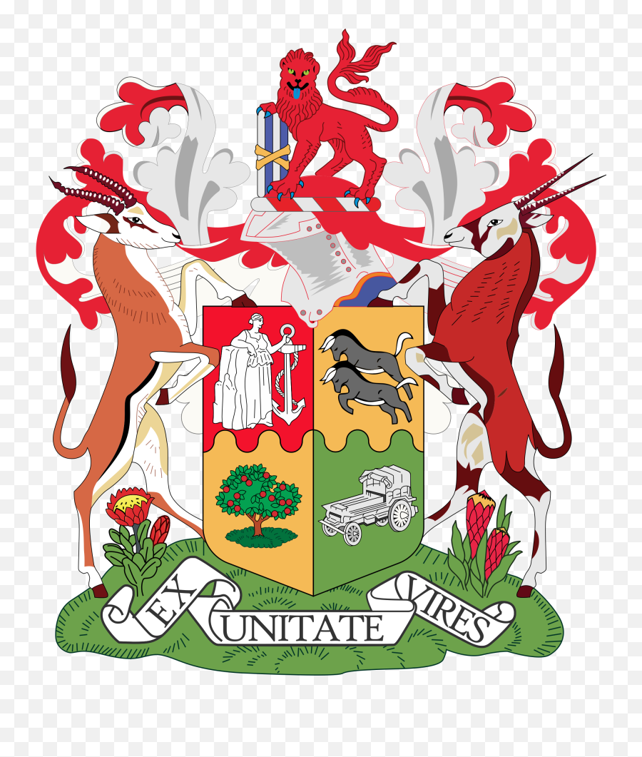 Coat Of Arms South Africa - Suppression Of Communism Act 1950 Png,African Tree Png