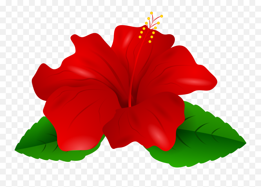 Hibiscus Transparent Png Clipart Free - Red Hibiscus Flower Clipart,Hibiscus Flower Png