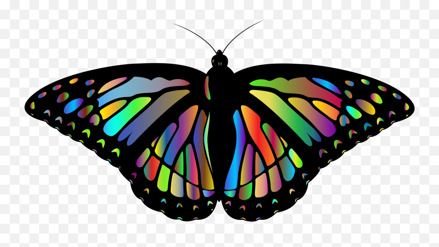 Flying Butterfly - Alas De Mariposa Monarca Png Png Rainbow Butterflies  Png,Flying Butterfly Png - free transparent png images 
