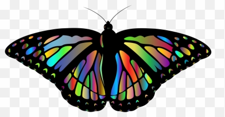 Flying Butterfly - Alas De Mariposa Monarca Png Rainbow Butterflies