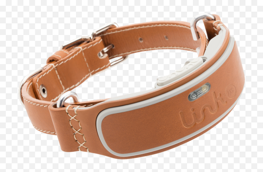 The Absolute Best Tech For Dog Lovers And Their Furry Friends - Dog Tracking Collar Uk Png,Dog Collar Png The Absolute Best Tech For Dog Lovers And Their Furry Friends - Dog Tracking Collar Uk Png,Dog Collar Png