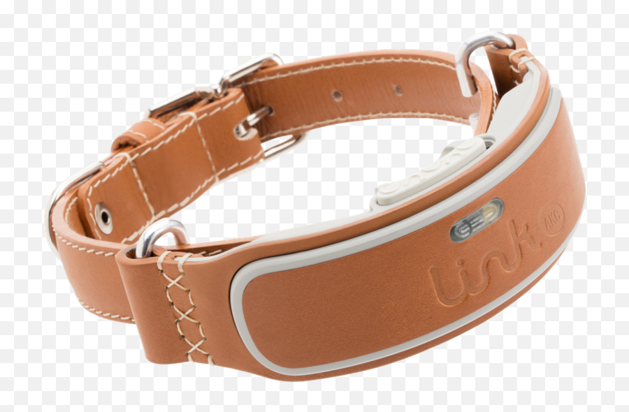 The Absolute Best Tech For Dog Lovers And Their Furry Friends - Dog Tracking Collar Uk Png,Dog Collar Png