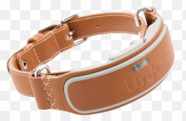 The Absolute Best Tech For Dog Lovers And Their Furry Friends - Dog Tracking Collar Uk Png,Dog Collar Png