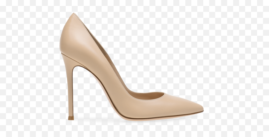 Gianvito Rossi 105 Pumps In Png Nude