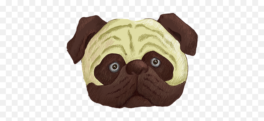60 Free Pug U0026 Dog Illustrations - Pixabay Pug Png,Pug Transparent