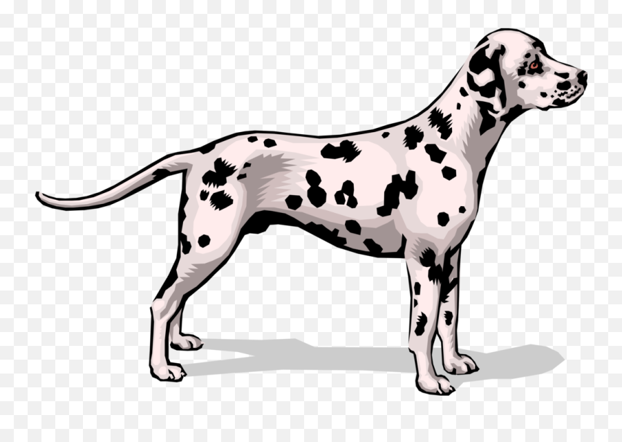 Dalmatian Dog Transparent Png Image - Dalmation Clipart,Dalmatian Png