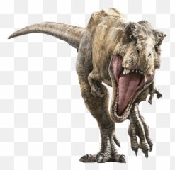 Download This Site Contains Information About Jurassic World - Rexy Fallen Kingdom png