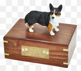Welsh Corgi Cardigan - Cardigan Corgi Figurine Png,Corgi Transparent