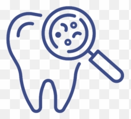 New Patient Special Seaglass Dental Care Png