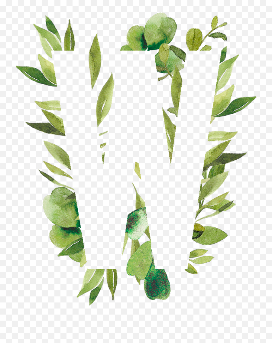 Plant Leaves Image By Zafrina Mendoza - Clip Art Png,Watercolor Greenery Png